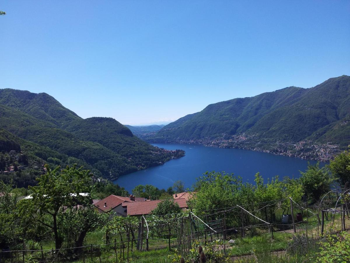 B&B Le Magnolie Faggeto Lario Kültér fotó