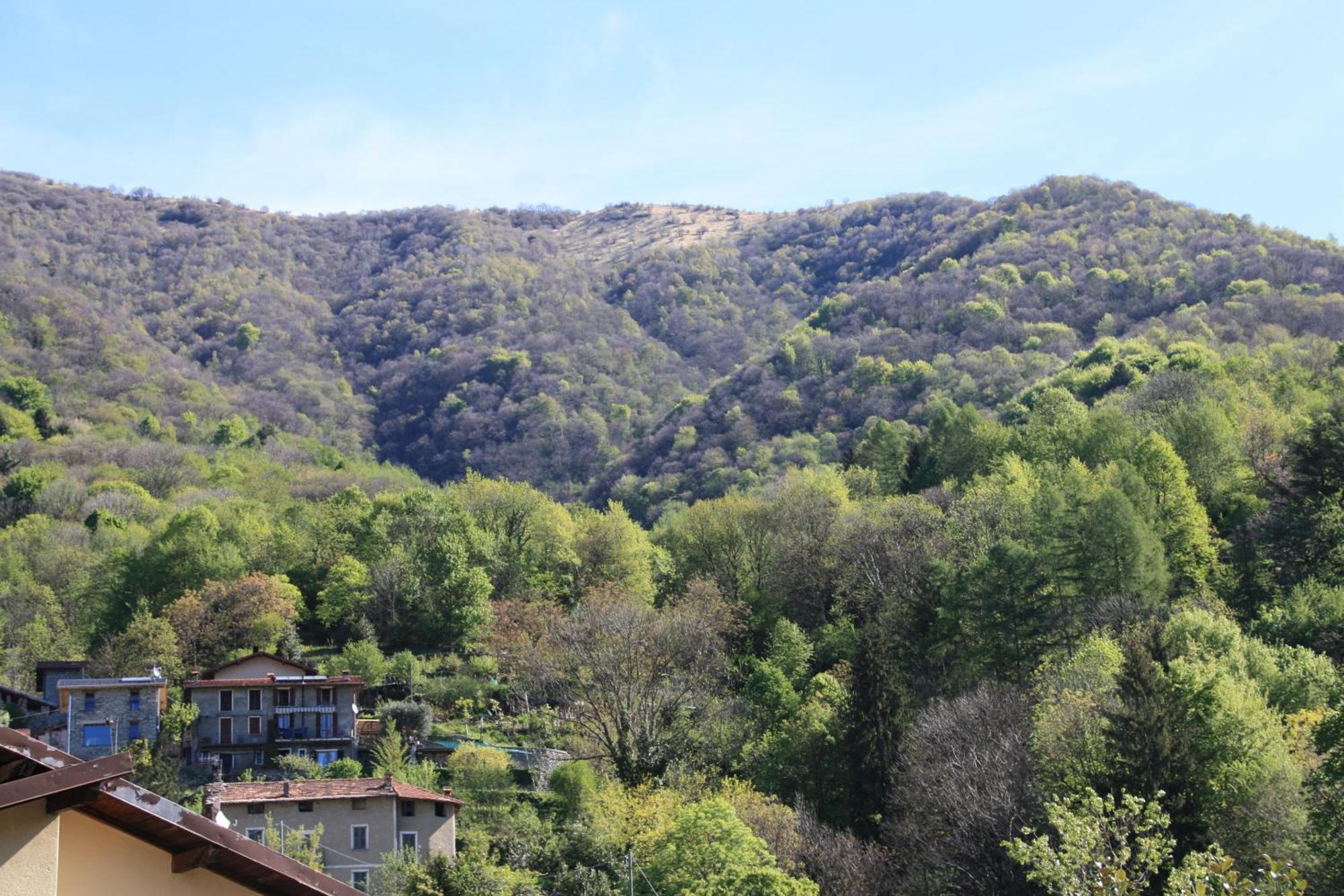 B&B Le Magnolie Faggeto Lario Kültér fotó